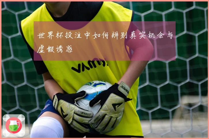 世界杯投注中如何辨别真实机会与虚假诱惑