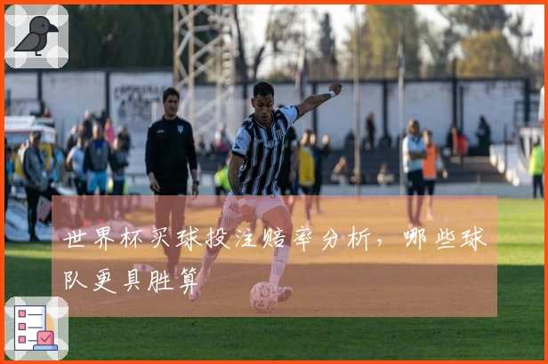 世界杯买球投注赔率分析，哪些球队更具胜算