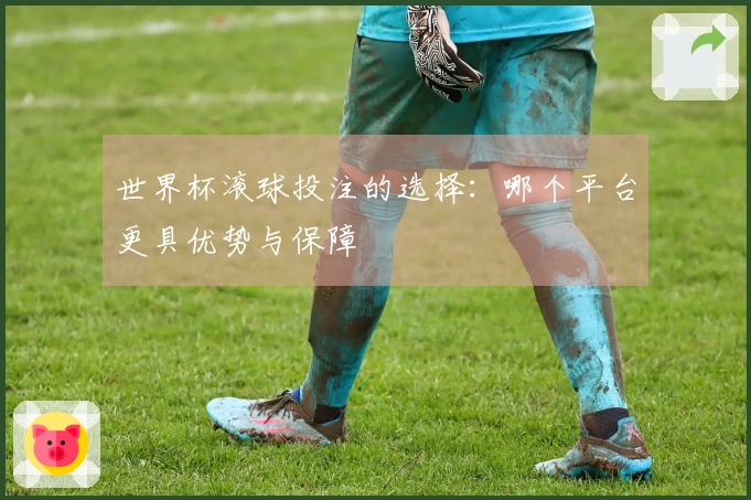 世界杯滚球投注的选择：哪个平台更具优势与保障
