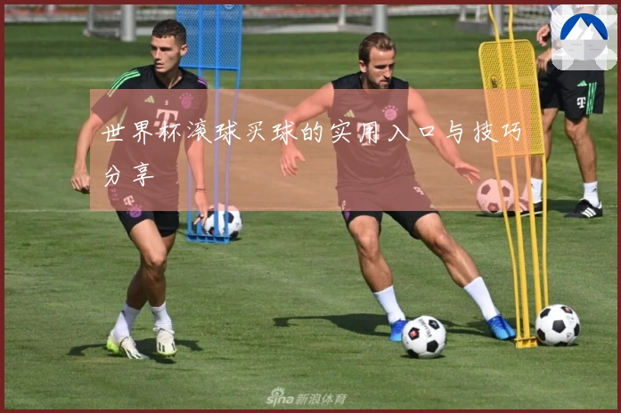 世界杯滚球买球的实用入口与技巧分享