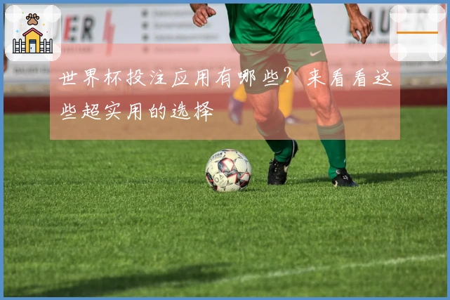 世界杯投注应用有哪些？来看看这些超实用的选择