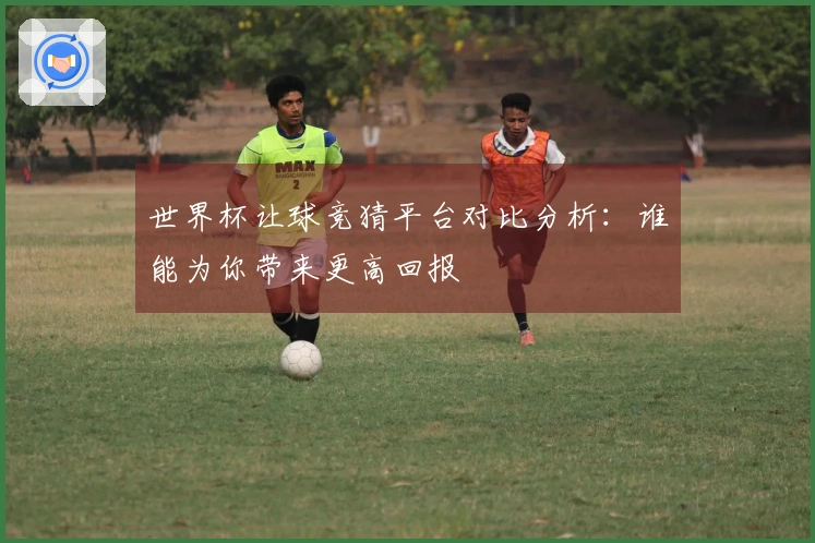 世界杯让球竞猜平台对比分析：谁能为你带来更高回报