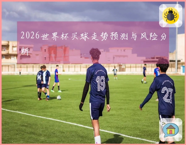2026世界杯买球走势预测与风险分析