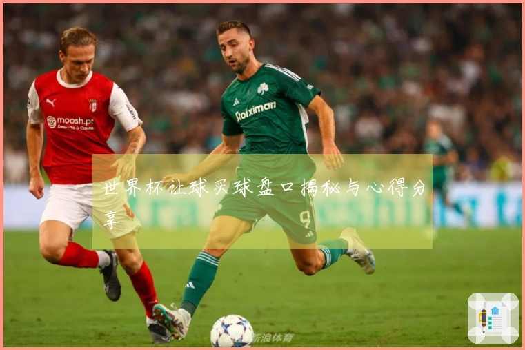 世界杯让球买球盘口揭秘与心得分享