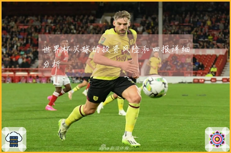 世界杯买球的投资风险和回报详细分析