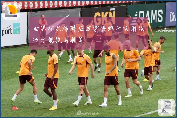 世界杯买球时应该掌握哪些实用技巧才能提高胜算