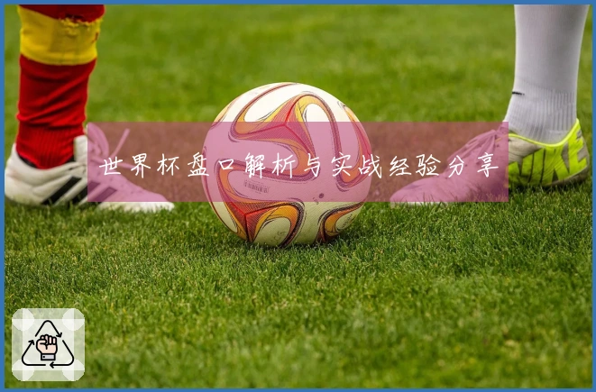 世界杯盘口解析与实战经验分享