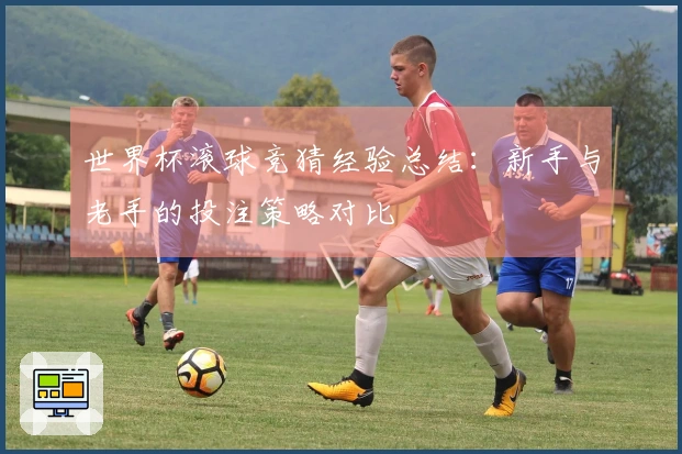 世界杯滚球竞猜经验总结：新手与老手的投注策略对比