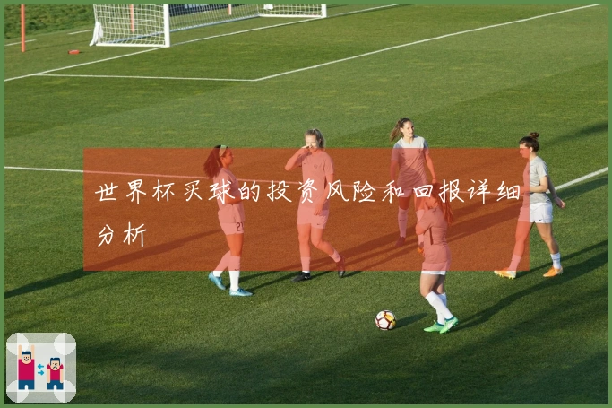 世界杯买球的投资风险和回报详细分析