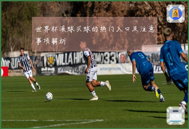 世界杯滚球买球的热门入口及注意事项解析