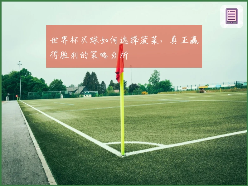 世界杯买球如何选择菠菜，真正赢得胜利的策略分析