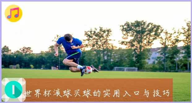 世界杯滚球买球的实用入口与技巧分享
