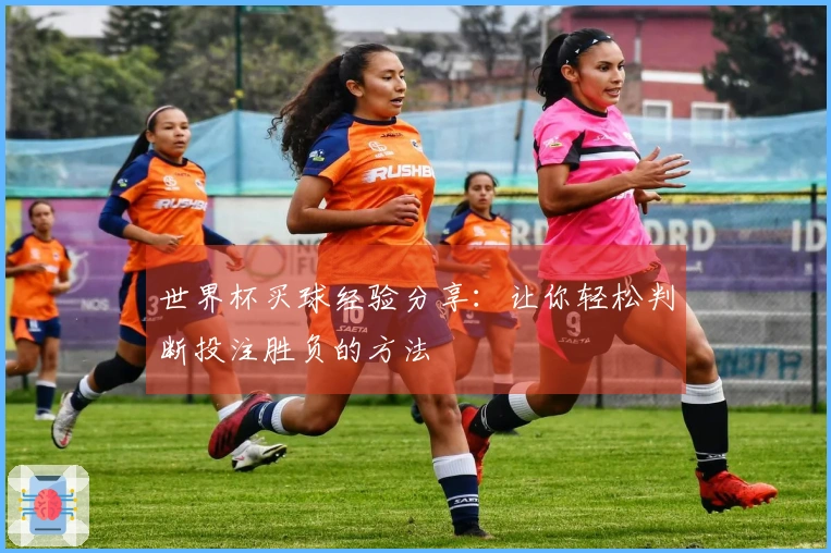 世界杯买球经验分享：让你轻松判断投注胜负的方法