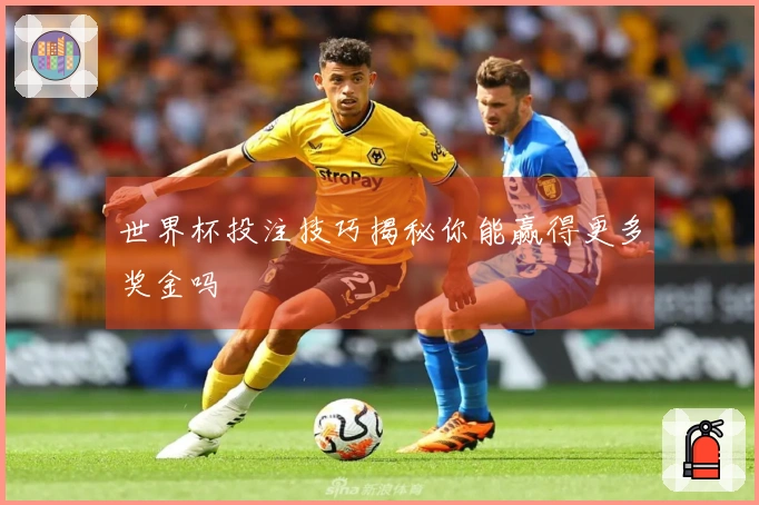 世界杯投注技巧揭秘你能赢得更多奖金吗