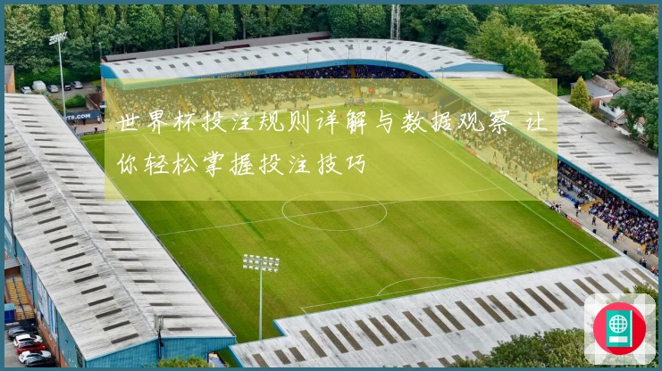 世界杯投注规则详解与数据观察 让你轻松掌握投注技巧