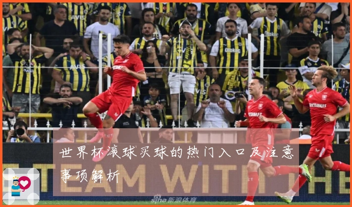 世界杯滚球买球的热门入口及注意事项解析