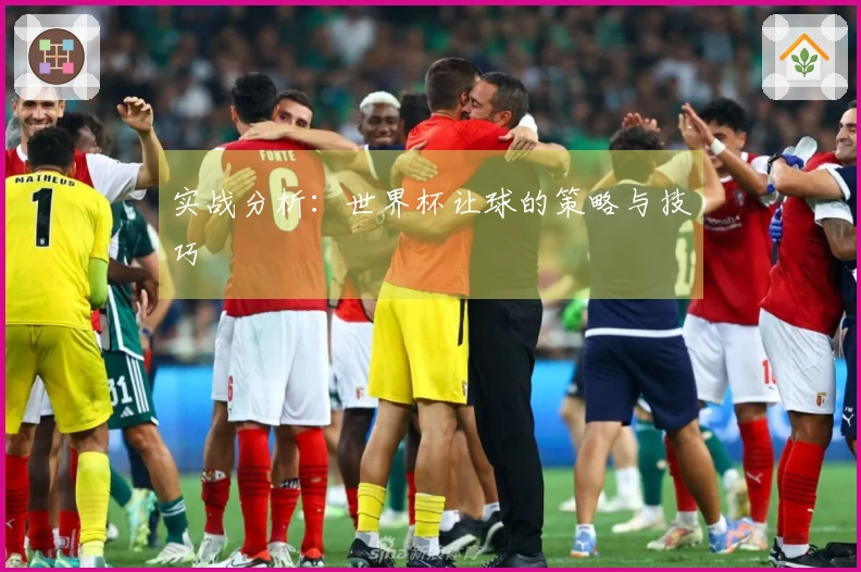 实战分析：世界杯让球的策略与技巧