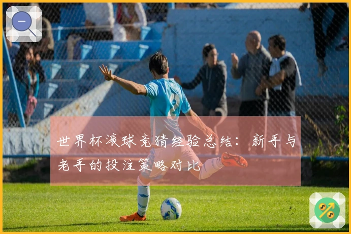 世界杯滚球竞猜经验总结：新手与老手的投注策略对比