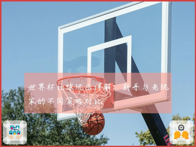 世界杯让球玩法详解：新手与老玩家的不同策略对比
