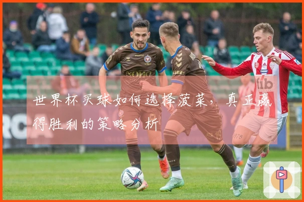 世界杯买球如何选择菠菜，真正赢得胜利的策略分析
