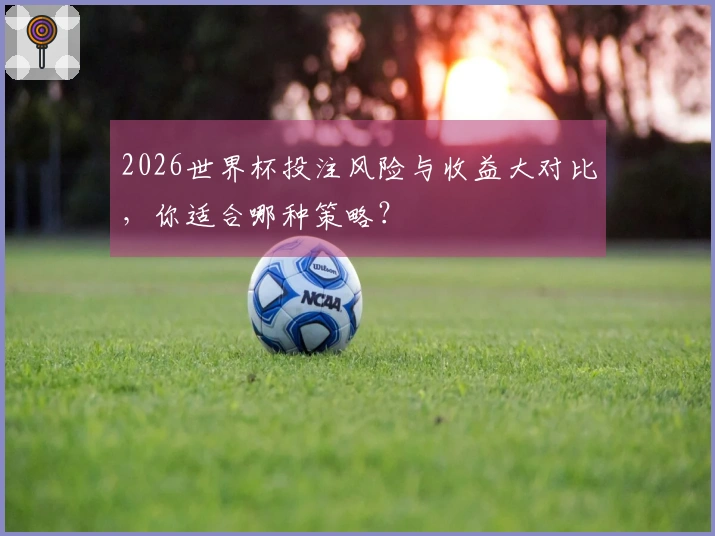 2026世界杯投注风险与收益大对比，你适合哪种策略？