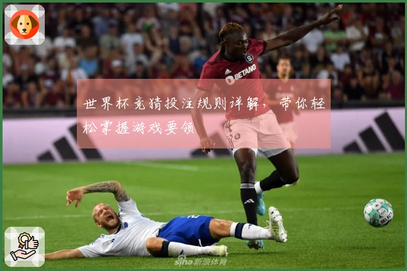 世界杯竞猜投注规则详解，带你轻松掌握游戏要领